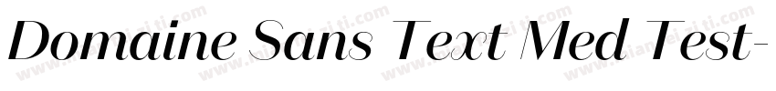 Domaine Sans Text Med Test字体转换